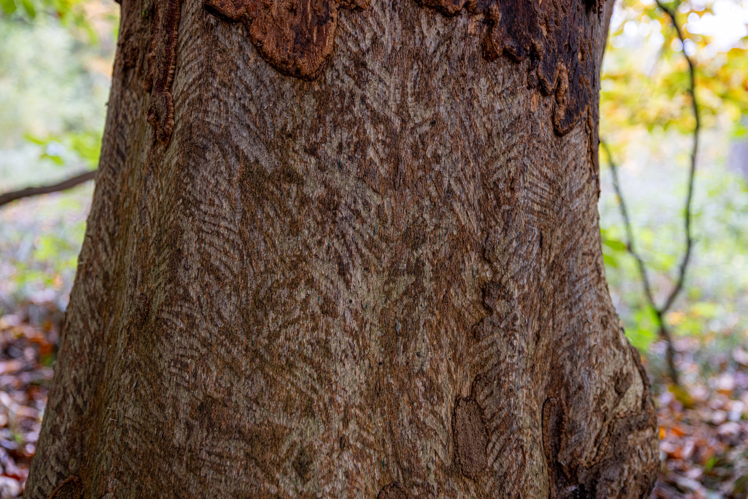 20231014123458 R5D 4108